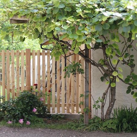 Madice B&B Casa Gori מראה חיצוני תמונה