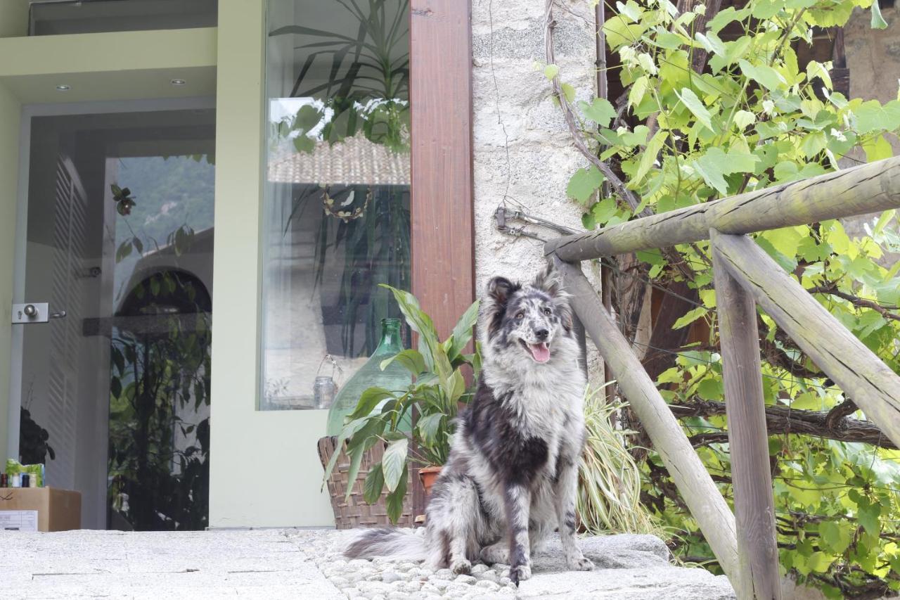 Madice B&B Casa Gori מראה חיצוני תמונה