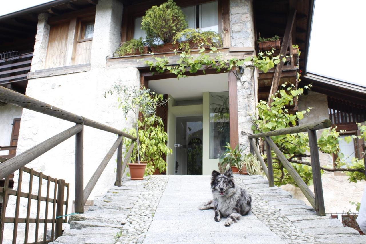 Madice B&B Casa Gori מראה חיצוני תמונה